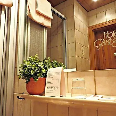 Otel Gastgeb 2*