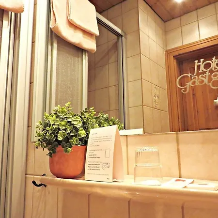 Gastgeb Hotel 2*